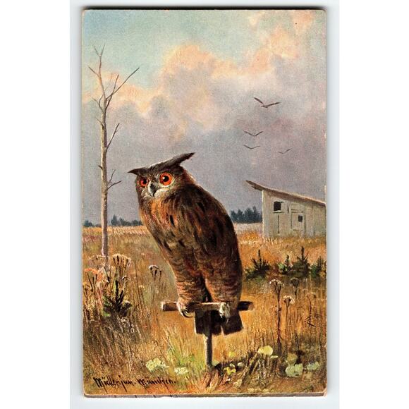 Signed Muller Artist Card Owl in Field Vintage Postcard Serie 331 Vintage - Picture 1 of 2